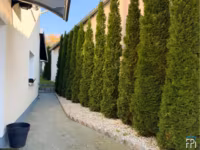 Durchgang zu Garten