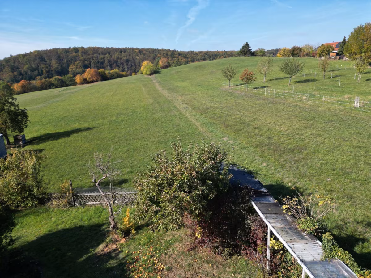 dji_fly_20261019_131004_973...