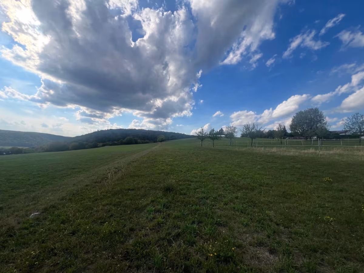 Blick nach Westen &uuml;ber gr&uuml;n...