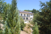 DSC_0610 - Ein traumhafter Ausblick über das Donautal in Kelheim: großes Wohnhaus, sehr ruhig gelegen